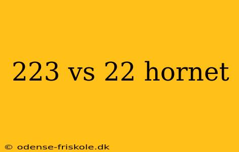 223 vs 22 hornet