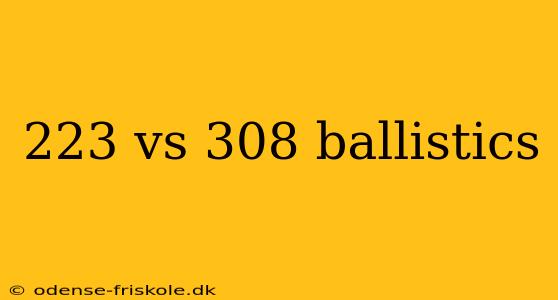 223 vs 308 ballistics