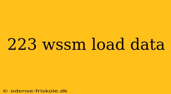 223 wssm load data