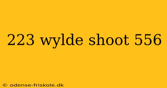 223 wylde shoot 556