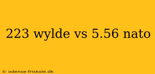 223 wylde vs 5.56 nato