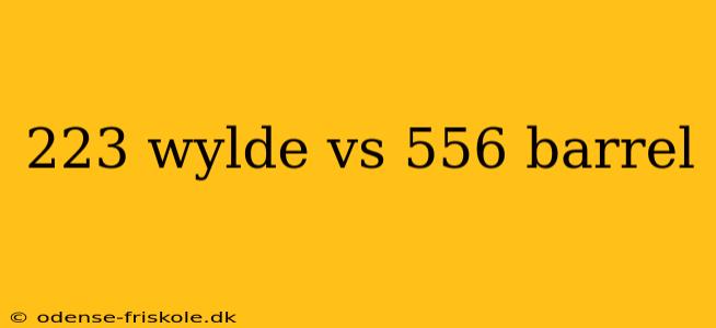 223 wylde vs 556 barrel