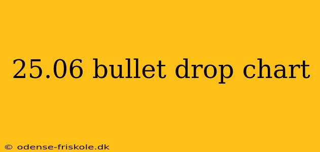 25.06 bullet drop chart