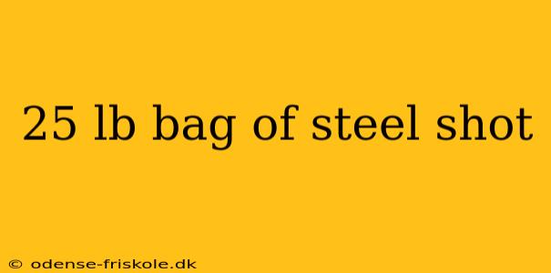 25 lb bag of steel shot