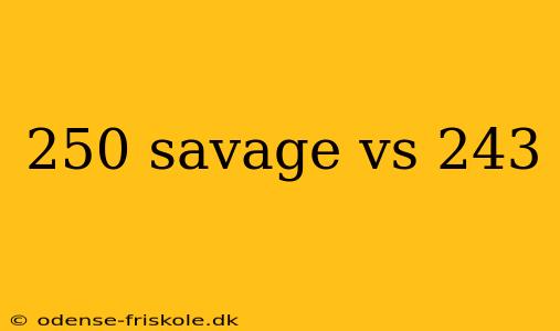 250 savage vs 243