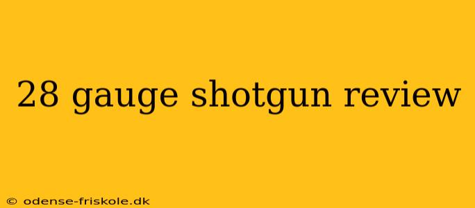 28 gauge shotgun review