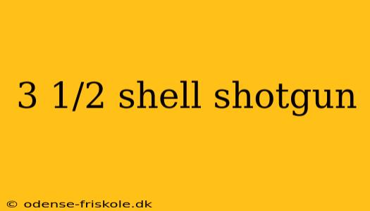 3 1/2 shell shotgun