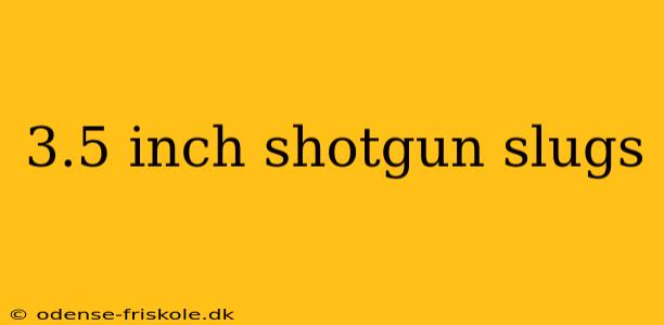 3.5 inch shotgun slugs