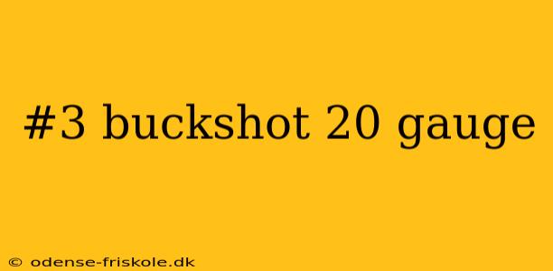 #3 buckshot 20 gauge