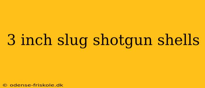 3 inch slug shotgun shells