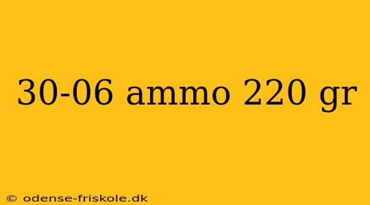 30-06 ammo 220 gr