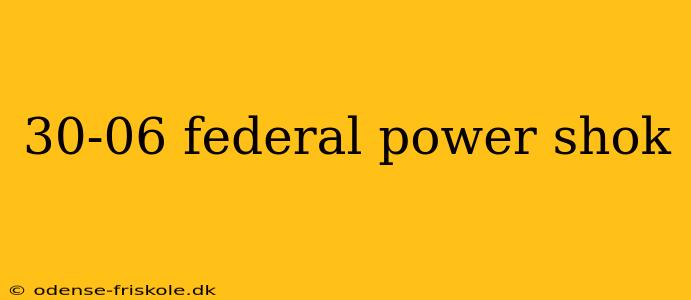 30-06 federal power shok