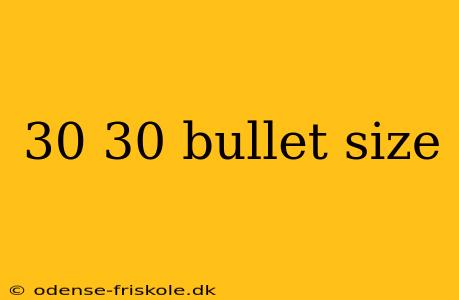 30 30 bullet size