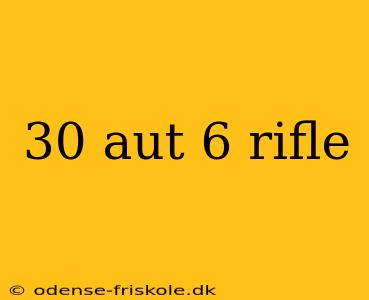 30 aut 6 rifle