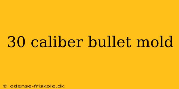 30 caliber bullet mold