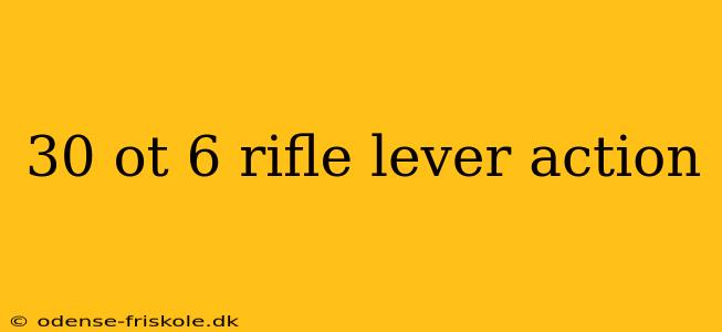 30 ot 6 rifle lever action