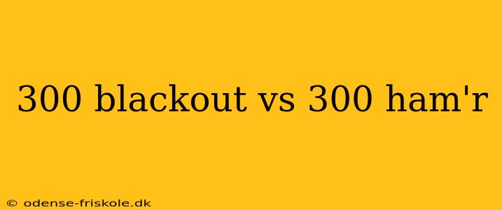 300 blackout vs 300 ham'r