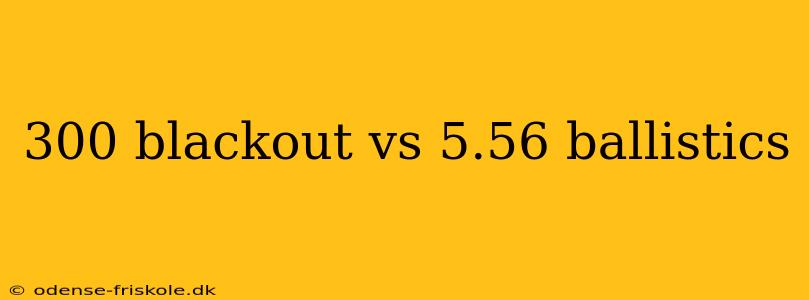 300 blackout vs 5.56 ballistics