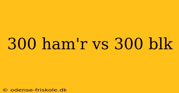 300 ham'r vs 300 blk