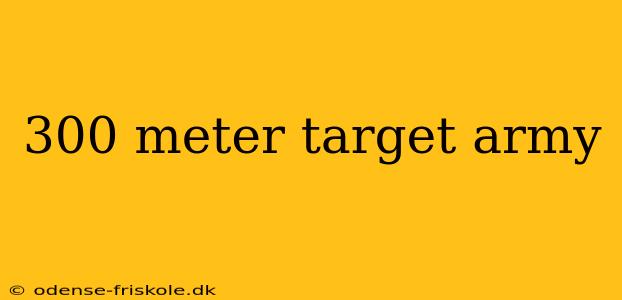 300 meter target army