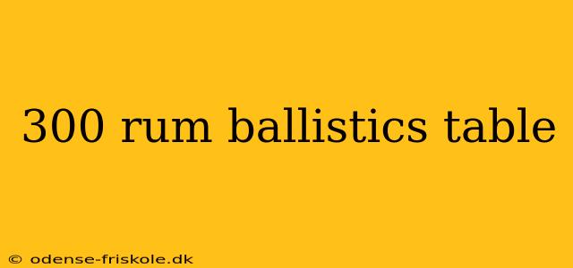 300 rum ballistics table