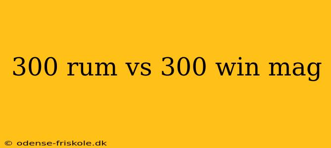 300 rum vs 300 win mag