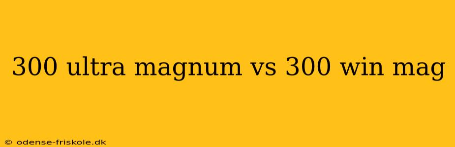 300 ultra magnum vs 300 win mag