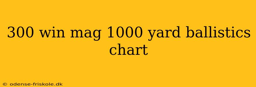 300 win mag 1000 yard ballistics chart