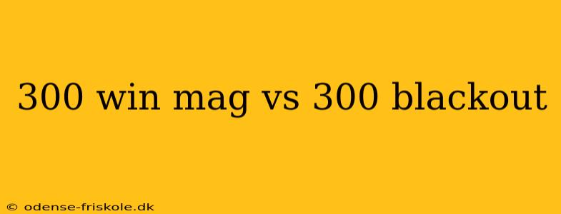 300 win mag vs 300 blackout