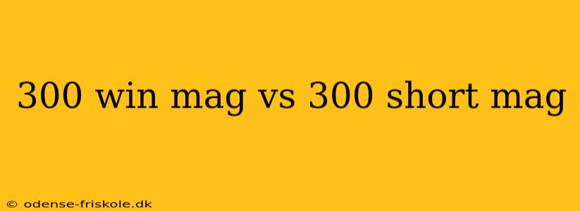 300 win mag vs 300 short mag