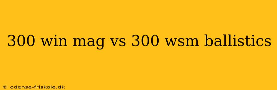 300 win mag vs 300 wsm ballistics