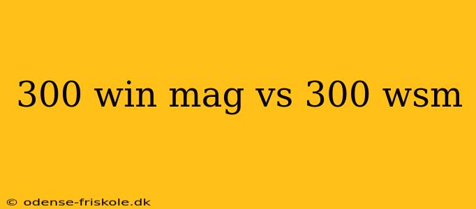 300 win mag vs 300 wsm