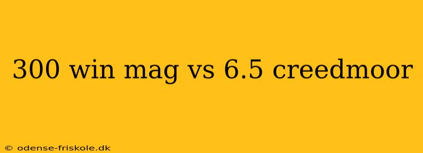 300 win mag vs 6.5 creedmoor