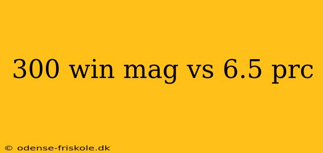 300 win mag vs 6.5 prc