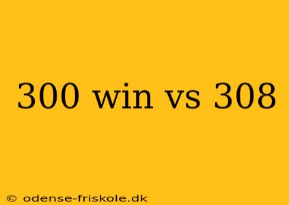 300 win vs 308