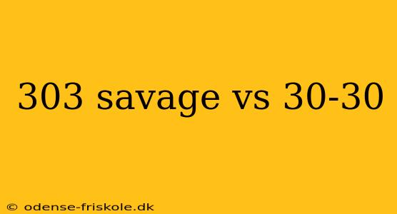 303 savage vs 30-30