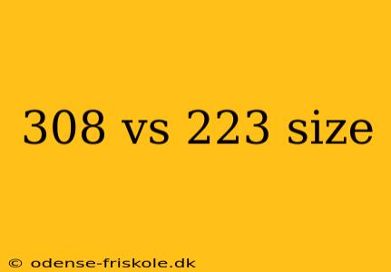 308 vs 223 size