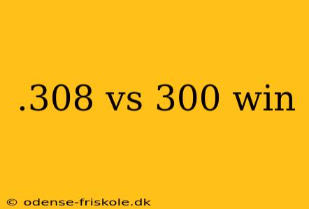 .308 vs 300 win