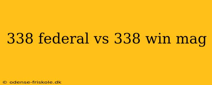 338 federal vs 338 win mag