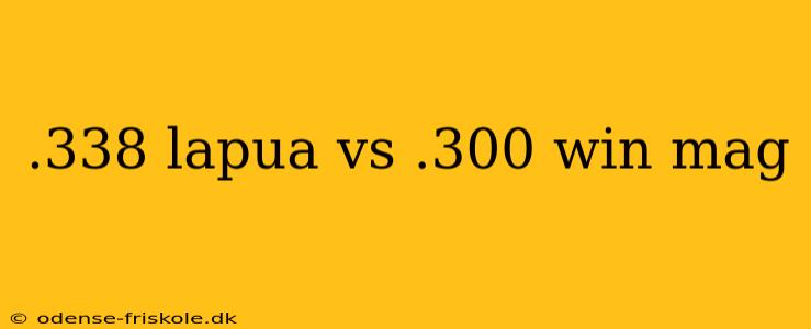 .338 lapua vs .300 win mag