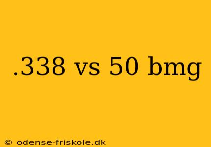 .338 vs 50 bmg