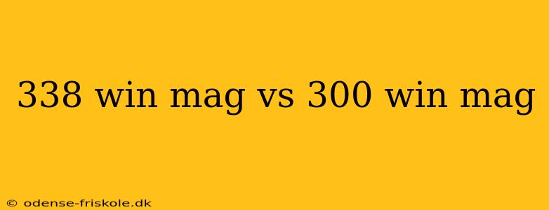 338 win mag vs 300 win mag