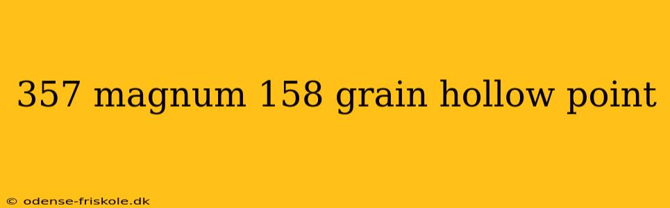 357 magnum 158 grain hollow point
