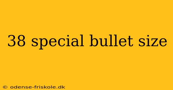 38 special bullet size