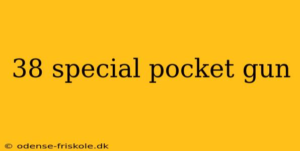 38 special pocket gun