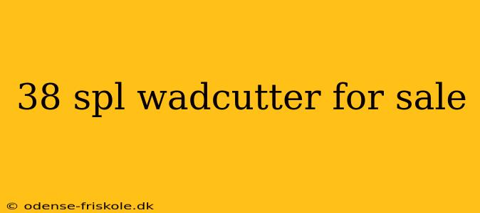 38 spl wadcutter for sale