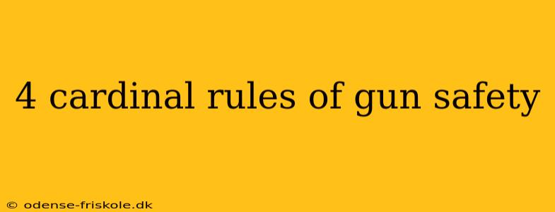 4 cardinal rules of gun safety