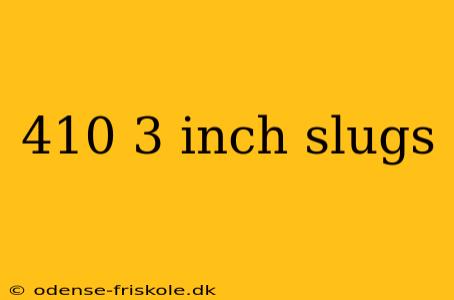 410 3 inch slugs