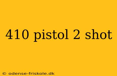 410 pistol 2 shot