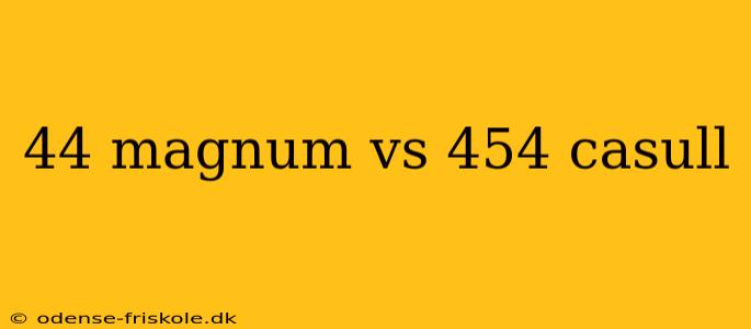 44 magnum vs 454 casull